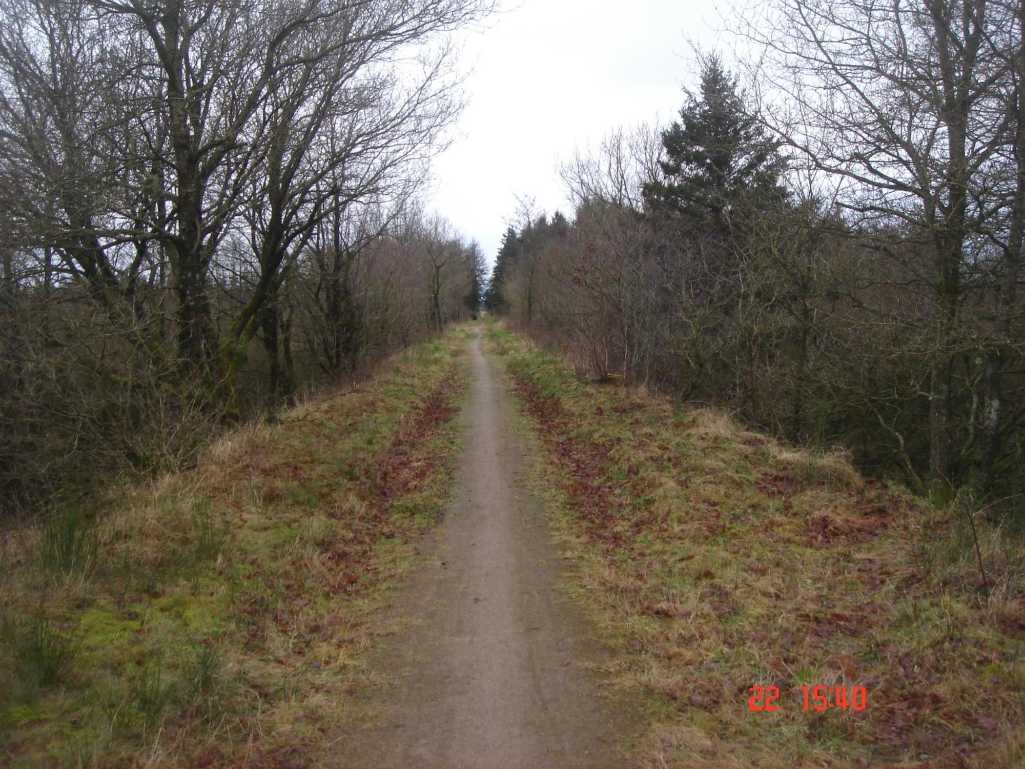 Skovboferie Blåhøj Stationsby